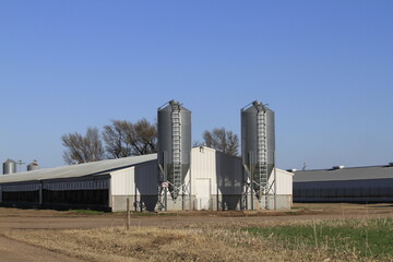 Kansas Pig Farm with the grain bins on the ends of the building with blue sky and green grass...
