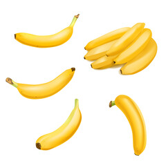 Set of Realistic banana and banana bunch isolated on white background. Tropical fruit. Realistic vector illustration