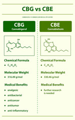 CBG vs CBE, Cannabigerol vs Cannabielsoin vertical infographic illustration about cannabis as herbal alternative medicine and chemical therapy, healthcare and medical vector.