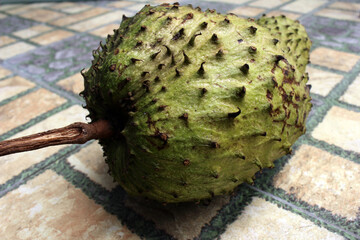 Light green soursop or sirsak, tropical exotic fruit