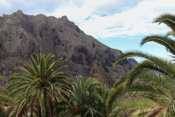 Fototapeta na wymiar Mountainous landscape in Tenerife with green trees and unrivaled views on Islands Canaries