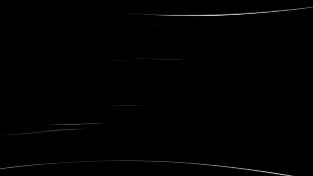 T-Rex Skull Loop 07 - The T-Rex skull appears through torsion, is surprised because you, and whirls while flying into the camera.