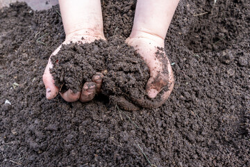 Child in the garden with the earth in his hands. Selective focus. nature.