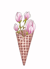 Watercolor illustration of blooming twigs of magnolias with tender pink flowers in a cup for ice cream isolated on a white background