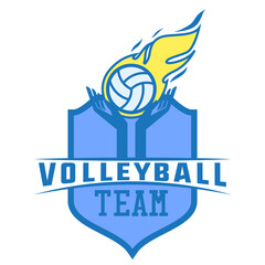 volley ball logo with text space for your slogan tag line, vector illustration
