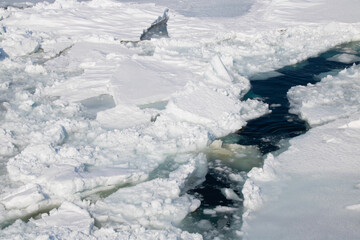 Sea of Okhotsk With drift ice in Abashiri, Hokkaido, Japan