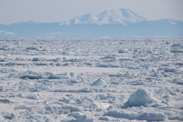 Sea of Okhotsk With drift ice in Abashiri, Hokkaido, Japan © ti1993