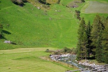 Obraz premium Bergwiesen