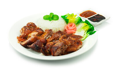 Roasted Duck with Rice recipe served sauce