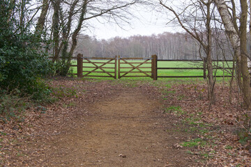 Country scene showing path leading to double wooden gate and woodland beyond
