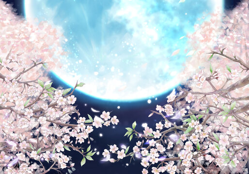 夜桜と満月のイラスト/ブルームーン
