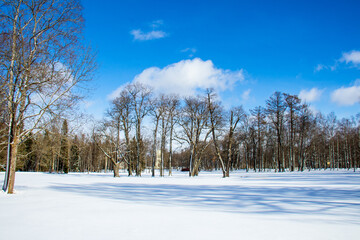 Winter landscape in a city park	