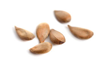 Apple seeds or stones. Isolated on white background