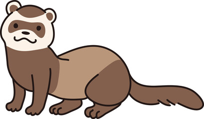 フェレットのイラスト