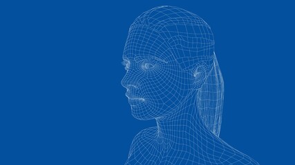 Wireframe portrait of a young beautiful girl