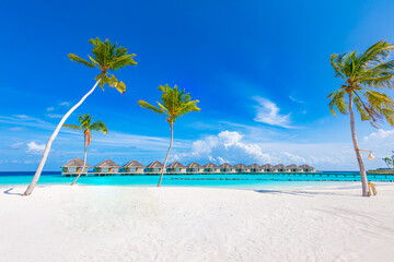 Perfect tropical island paradise beach. Palm trees ocean lagoon, sea horizon under blue sky, water...