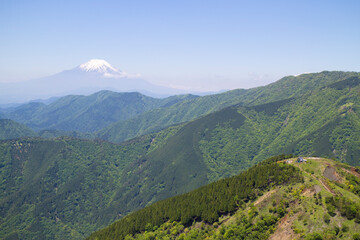 夏山６
