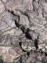 赤みを帯びた岩石