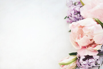 Obraz na płótnie Canvas Spring blossoming tulips, pink and violet flowers festive background, bright springtime floral card