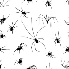 seamless spider background isolated on white