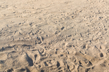 Footprints in the sand