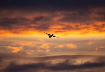 airplane in the sunset