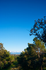 krajobraz góry drzewa rośliny niebo błękit zieleń