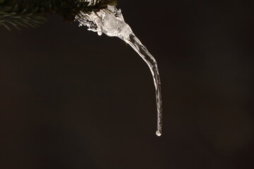 
Close-up of an icicle on a black background