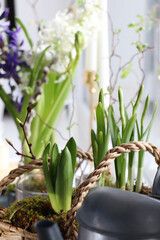 Spring shoots of Narcissus and Hyacinth planted in wicker basket on window sill, closeup