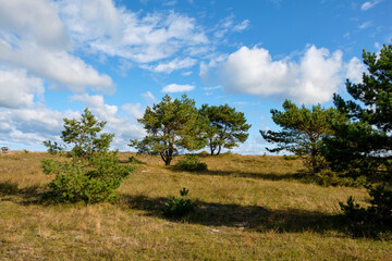 Nordstrand und D&uuml;nen  im Ostseebad Prerow auf dem Dar&szlig;, Fischland-Dar&szlig;-Zingst, Mecklenburg Vorpommern, Deutschland