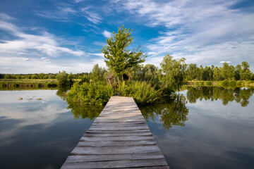 Fototapeta na wymiar Wooden bridge over the lake, river. Trees with green leaves, blue sky with clouds. Beautiful summer landscape.
