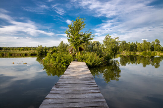 Wooden bridge over the lake, river. Trees with green leaves, blue sky with clouds. Beautiful summer landscape.