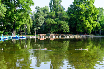 Fototapeta na wymiar Lake, green trees and grass in a sunny summer day in Cismigiu Garden in Bucharest, Romania .