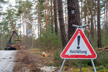 A triangular sign warns of tree felling