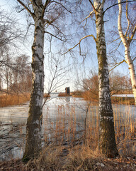 WROCLAW, POLAND - FEBRUARY 22, 2021: The Milicz Ponds (Polish: Stawy Milickie). Nature Reserve in Barycz Valley Landscape Park. Lower Silesian Voivodeship, Poland, Europe. - obrazy, fototapety, plakaty