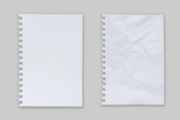 White ripped note,Torn paper edges for background. Ripped paper texture on transparent background. isolated on white background with clipping path.