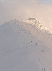 hikers at polish mountains