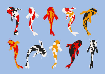 Fototapeta na wymiar Set of koi carps. Koi japanese fish. Chinese goldfish. Koi symbol of wealth. Aquarium fish. Vector stock illustration. Colorful isolated carps. All objects are isolated.