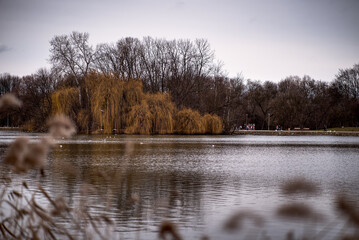 View on small city lake in Cracow. Nowa Huta nature during fall