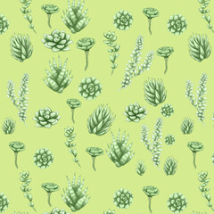 Cute succulents digital paper, lovely green succulents background, seamless pattern