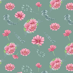 Lovely lewisia flowers with eucalyptys branches digital paper, summer seamless pattern