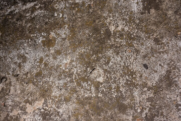 remains of white paint on the surface of the old wall plaster.