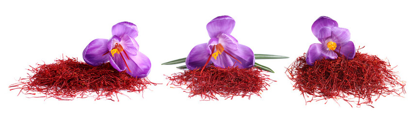 Set with dried saffron and crocus flowers on white background. Banner design