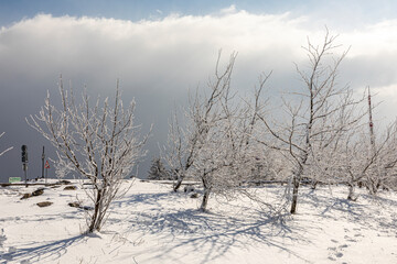 Fototapeta na wymiar scenic snow landscape at the mountain in Hesse, Feldberg