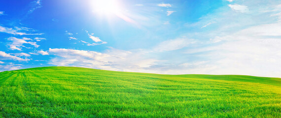 Panoramic natural landscape with green grass field meadow and blue sky with clouds, bright sun and horizon line. Panorama summer spring  grassland in sunny day.