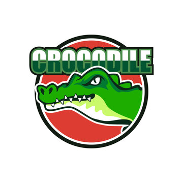 alligator crocodile logo for your business company. vector illustration