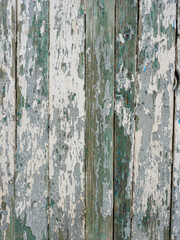 Obraz premium Old wooden planks painted with peeling white and green paint.