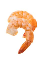boiled shrimp isolated