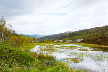 Tundra landscape in Norway