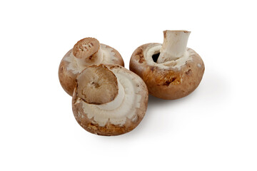 Portobello mushrooms isolated on white